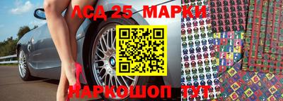 амф Кимры
