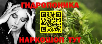 герыч Кингисепп