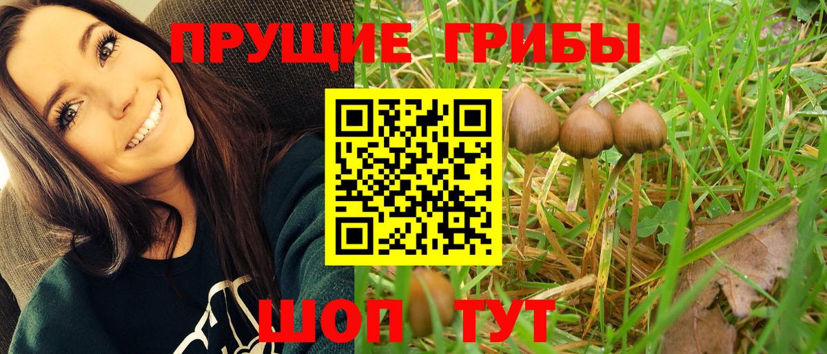 Псилоцибиновые грибы ЛСД Кузнецк