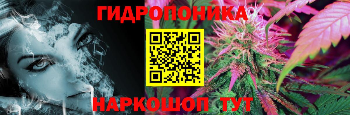 Бошки марихуана семена Кузнецк